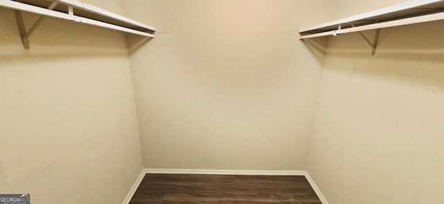 walk in closet with hardwood / wood-style flooring