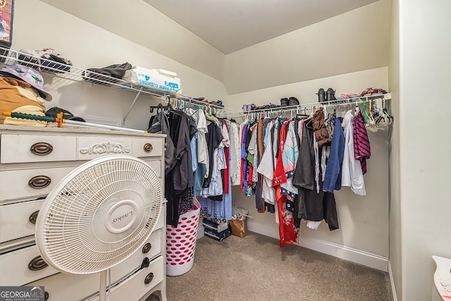 spacious closet with carpet floors