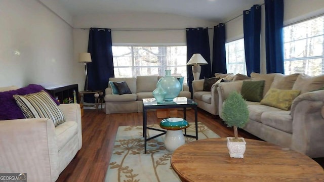 living room featuring dark hardwood / wood-style flooring and lofted ceiling