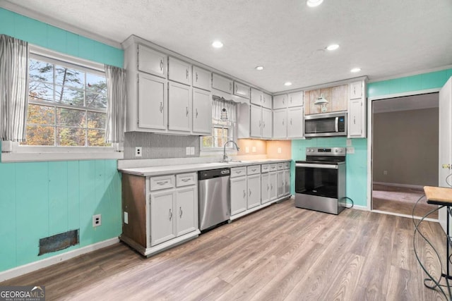 kitchen with stainless steel appliances, a wealth of natural light, light hardwood / wood-style floors, and sink