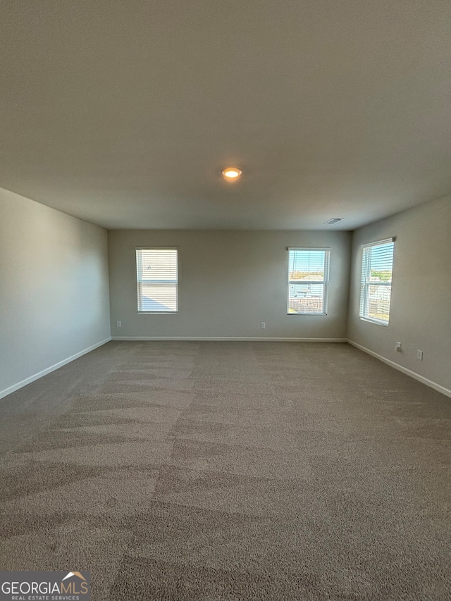 carpeted spare room featuring a wealth of natural light