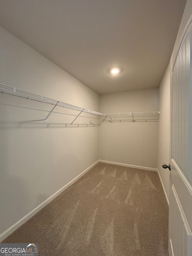 walk in closet featuring carpet flooring