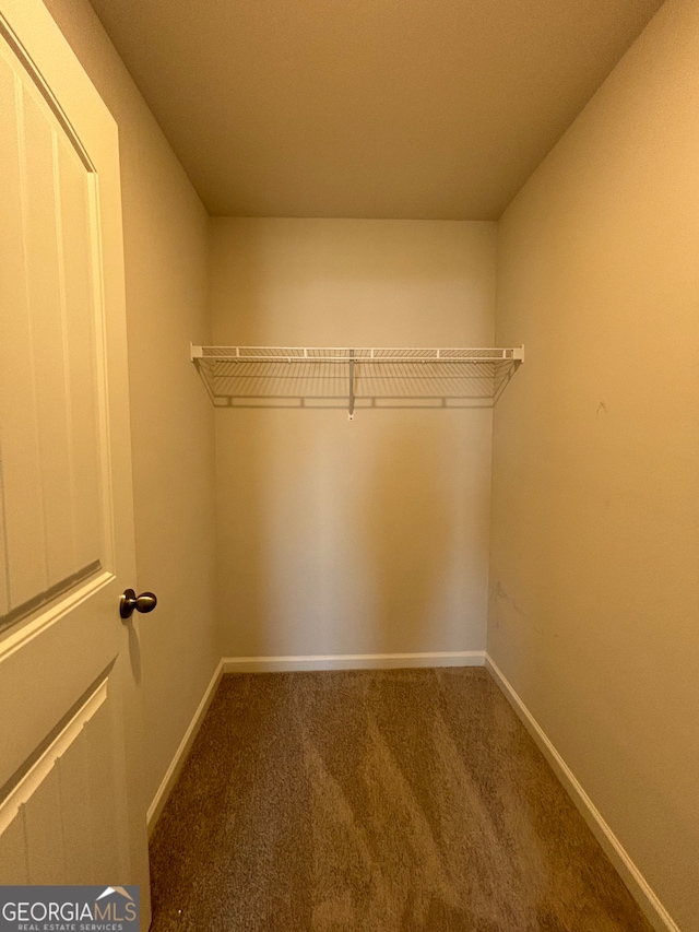 spacious closet with carpet