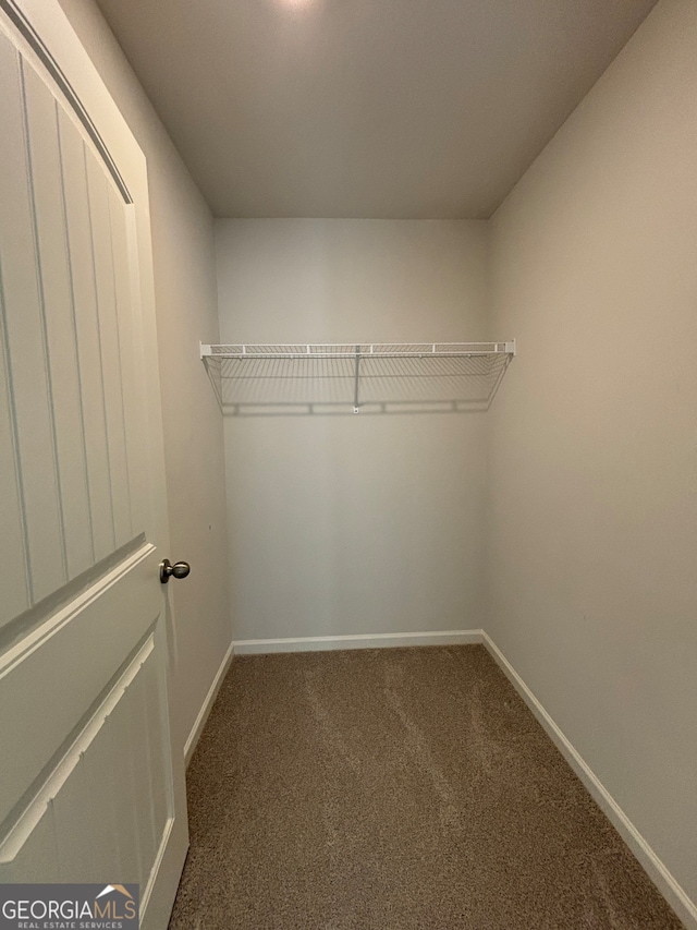 walk in closet with dark colored carpet