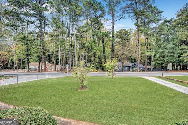 1778 Campbellton Rd SW, Atlanta, GA 30311 - view of yard