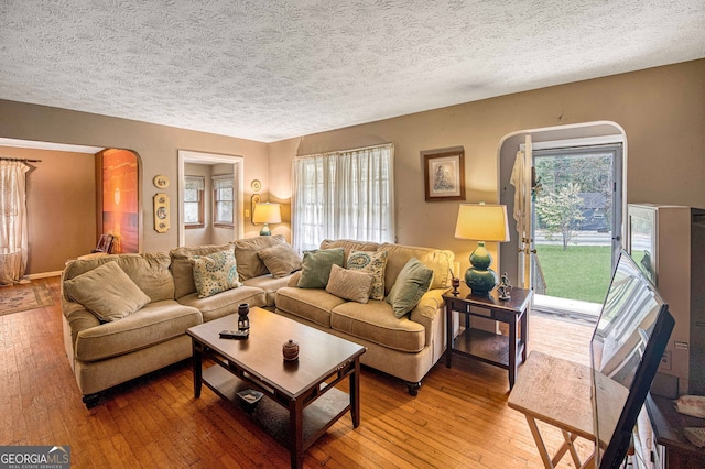 living room with hardwood / wood-style floors, a textured ceiling, and a healthy amount of sunlight