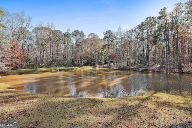 property view of water