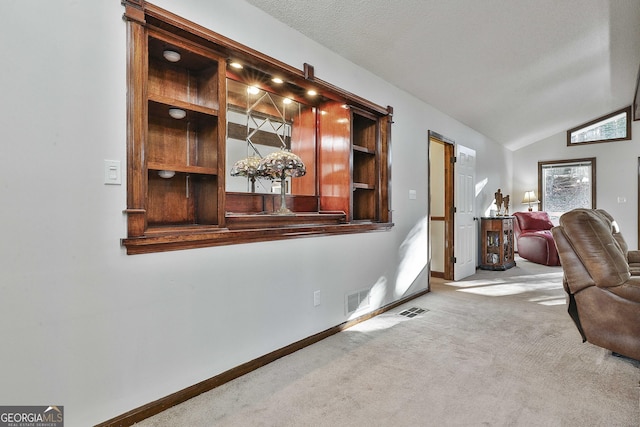 interior space with a textured ceiling and lofted ceiling