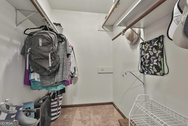 spacious closet featuring light carpet