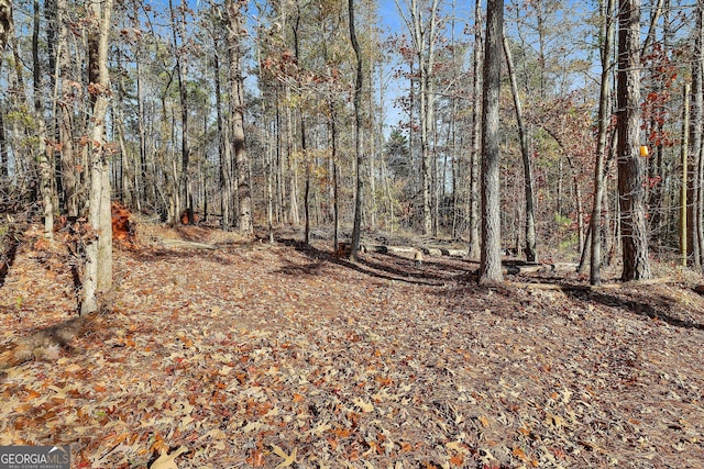 view of local wilderness