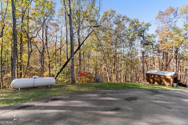 view of yard with a storage shed