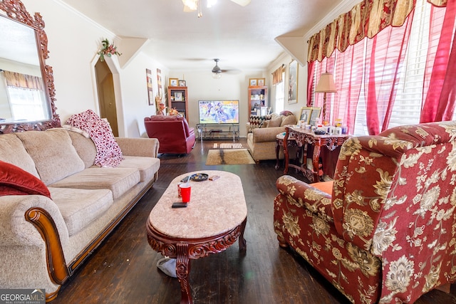 living room with ceiling fan, crown molding, and dark wood-type flooring