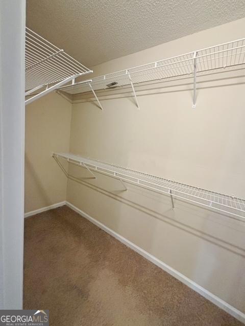 walk in closet with carpet floors