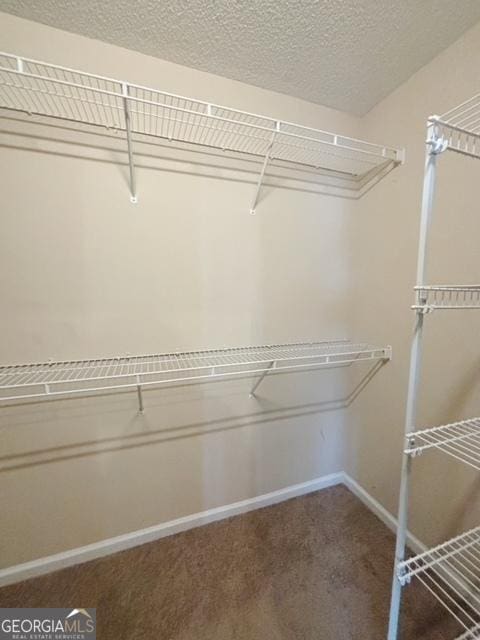 spacious closet with carpet flooring