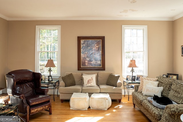 living room featuring a wealth of natural light, crown molding, and light wood-type flooring