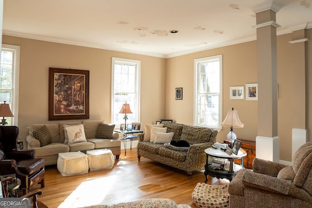 living room featuring light hardwood / wood-style flooring, a wealth of natural light, and ornamental molding