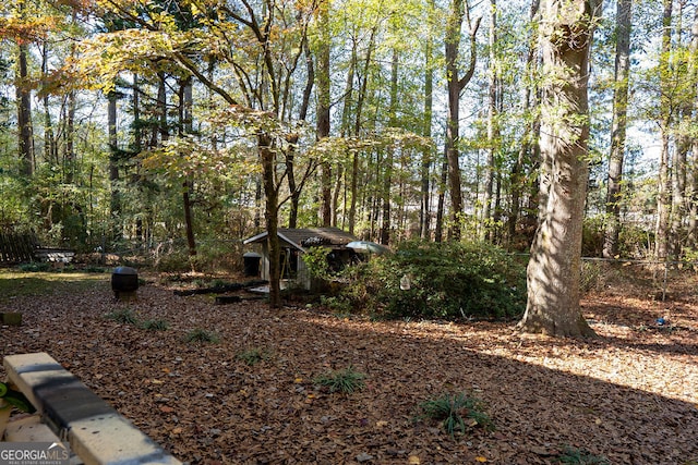 view of yard with a shed