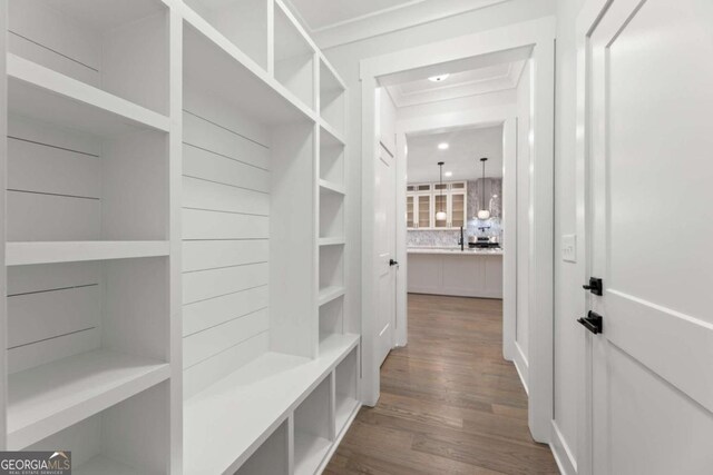 mudroom with dark hardwood / wood-style flooring