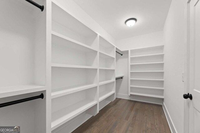 spacious closet featuring dark hardwood / wood-style floors