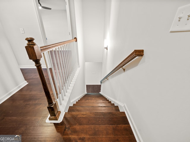 staircase with wood-type flooring