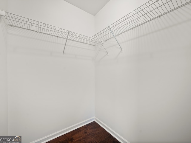 spacious closet with wood-type flooring