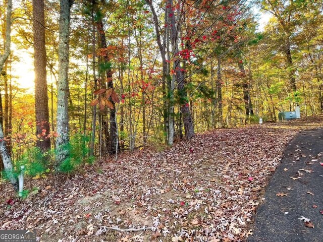 LOT23 Fox Trail Ct, Talking Rock, GA 30175