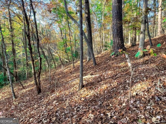 LOT23 Fox Trail Ct, Talking Rock, GA 30175