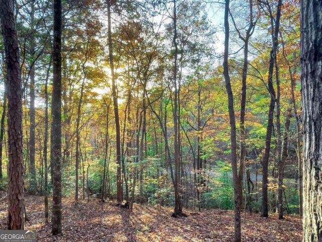 LOT23 Fox Trail Ct, Talking Rock, GA 30175