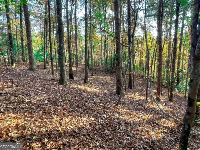 LOT23 Fox Trail Ct, Talking Rock, GA 30175