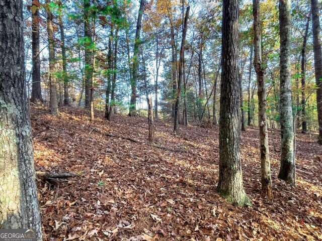 LOT23 Fox Trail Ct, Talking Rock, GA 30175