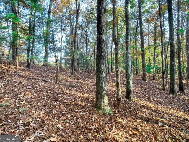 LOT23 Fox Trail Ct, Talking Rock, GA 30175