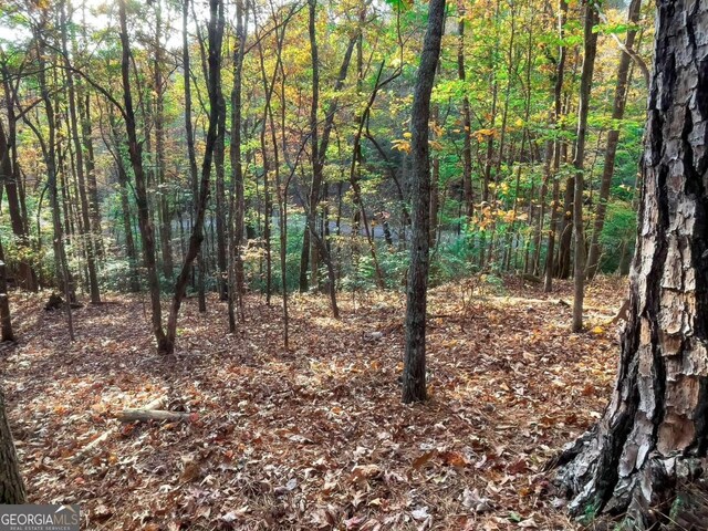 LOT23 Fox Trail Ct, Talking Rock, GA 30175