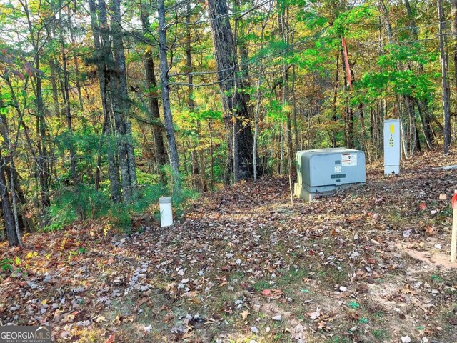LOT23 Fox Trail Ct, Talking Rock, GA 30175