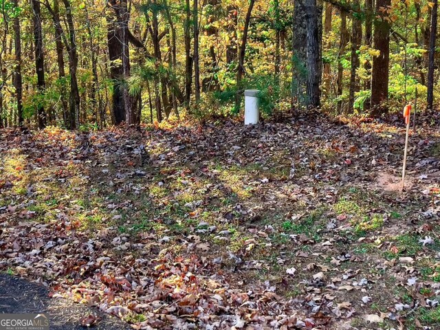 LOT23 Fox Trail Ct, Talking Rock, GA 30175