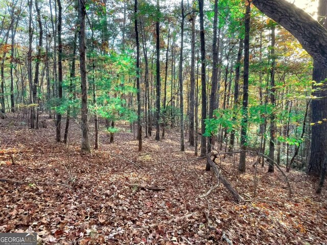 LOT23 Fox Trail Ct, Talking Rock, GA 30175