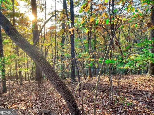 LOT23 Fox Trail Ct, Talking Rock, GA 30175