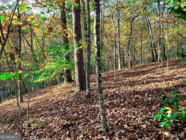 LOT23 Fox Trail Ct, Talking Rock, GA 30175