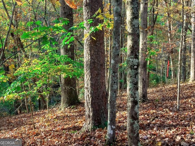 LOT23 Fox Trail Ct, Talking Rock, GA 30175