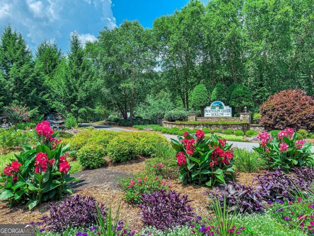 LOT23 Fox Trail Ct, Talking Rock, GA 30175