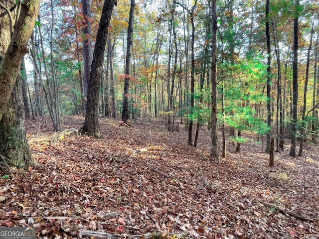 Listing photo 3 for LOT23 Fox Trail Ct, Talking Rock GA 30175