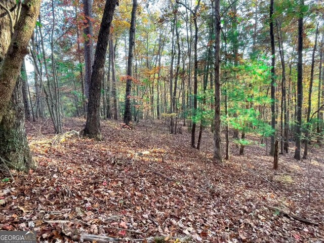 LOT23 Fox Trail Ct, Talking Rock, GA 30175
