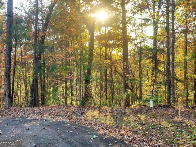LOT23 Fox Trail Ct, Talking Rock, GA 30175