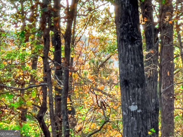 LOT23 Fox Trail Ct, Talking Rock, GA 30175