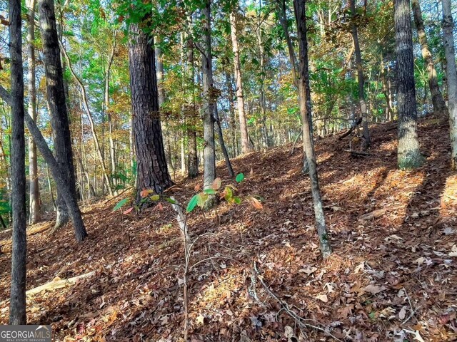 LOT23 Fox Trail Ct, Talking Rock, GA 30175