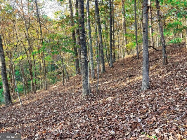 LOT23 Fox Trail Ct, Talking Rock, GA 30175