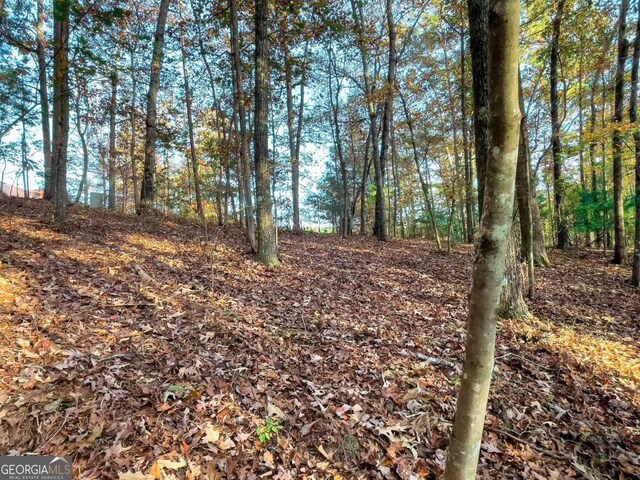 LOT23 Fox Trail Ct, Talking Rock, GA 30175