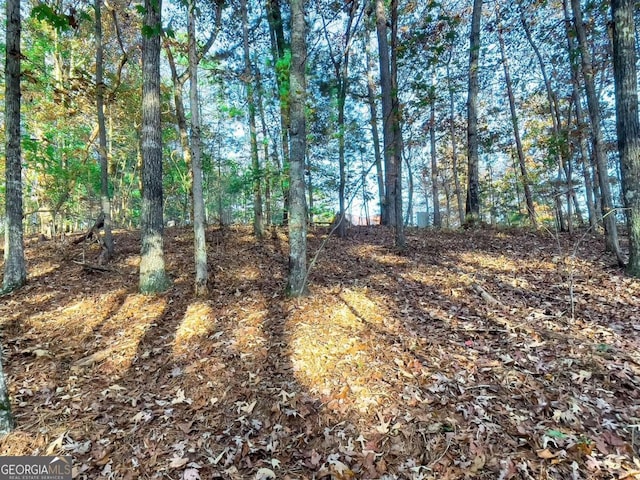 LOT23 Fox Trail Ct, Talking Rock, GA 30175