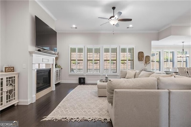 living room with ceiling fan with notable chandelier, dark hardwood / wood-style floors, and ornamental molding