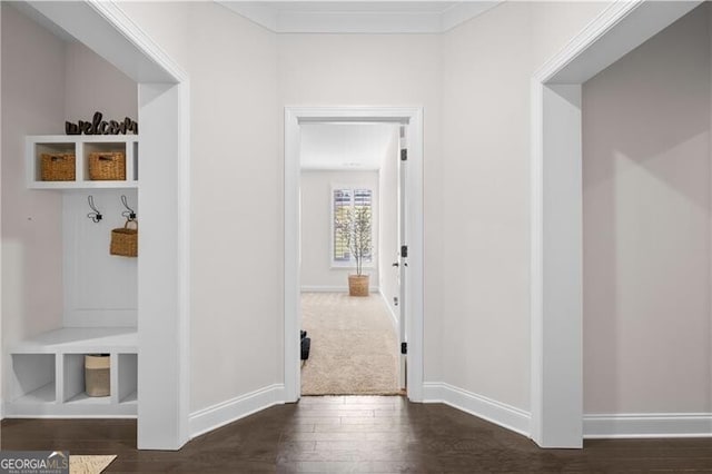 mudroom featuring crown molding and dark hardwood / wood-style floors