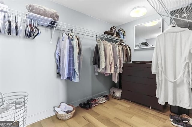 spacious closet with wood-type flooring